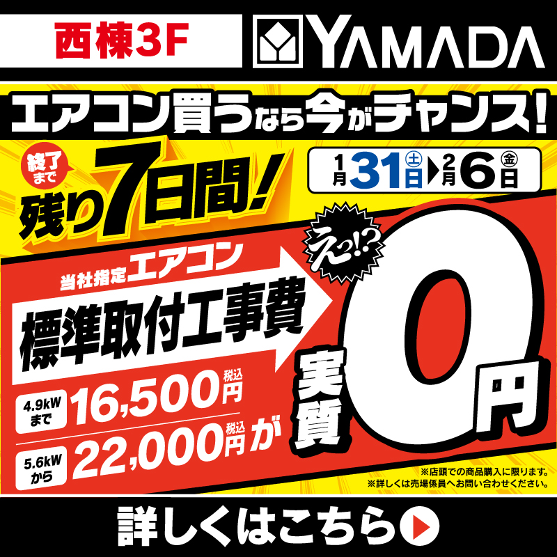 ヤマダデンキ（1/31-2/6）