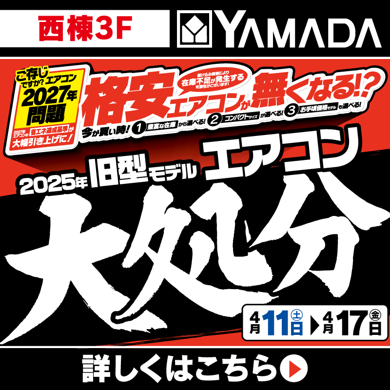 ヤマダデンキ(4/11-17)