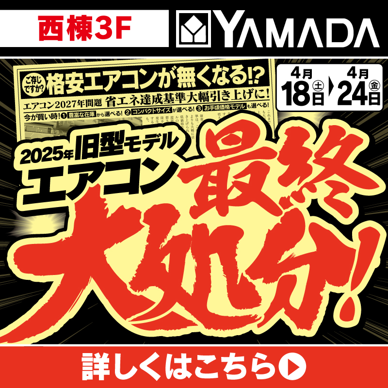 ヤマダデンキ（4/18-24）